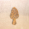 Morel Magnet