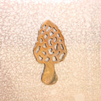 Morel Magnet