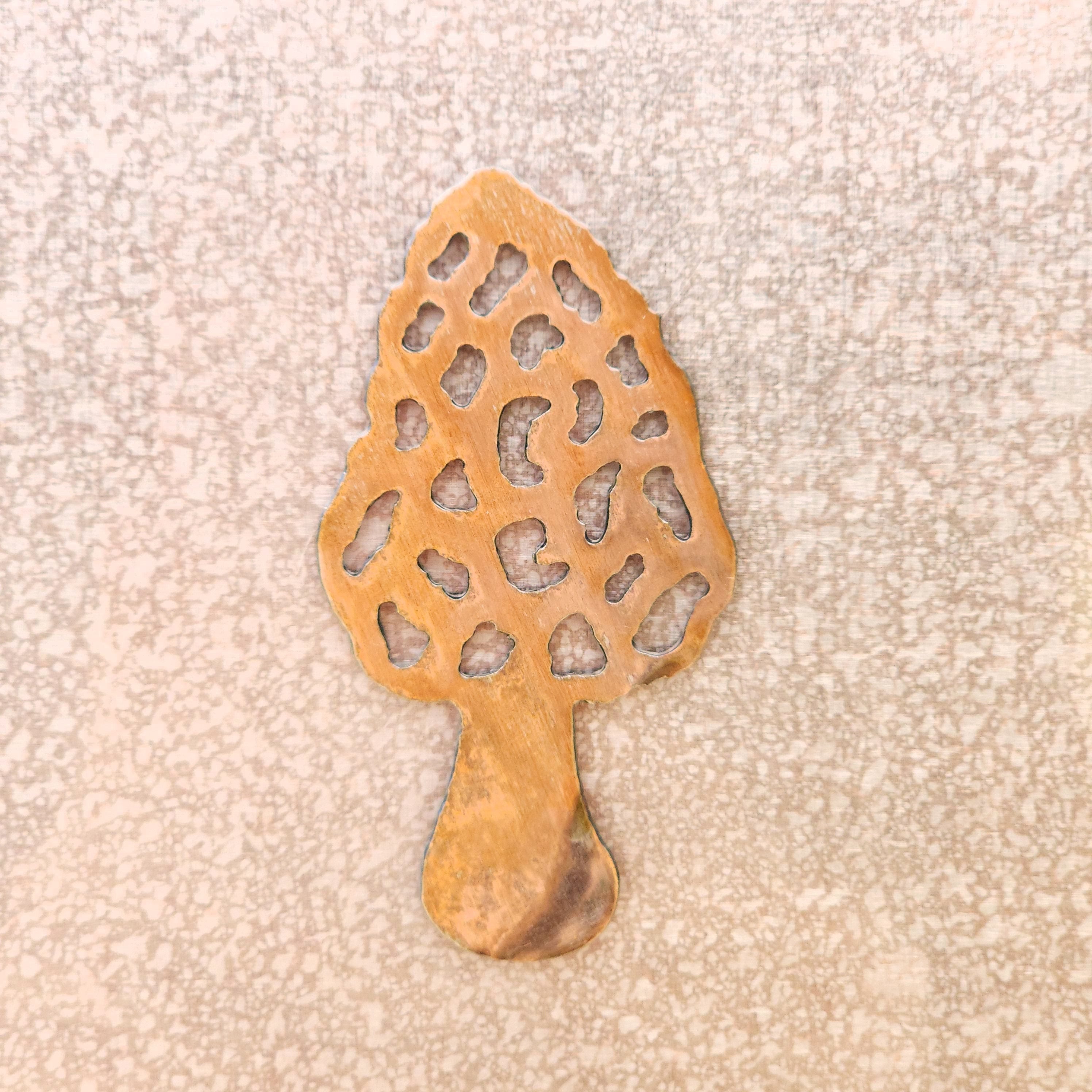 Morel Magnet