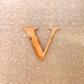 - V - Magnet