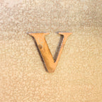 - V - Magnet