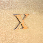 - X - Magnet