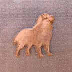 Bernese Mountain Dog Magnet
