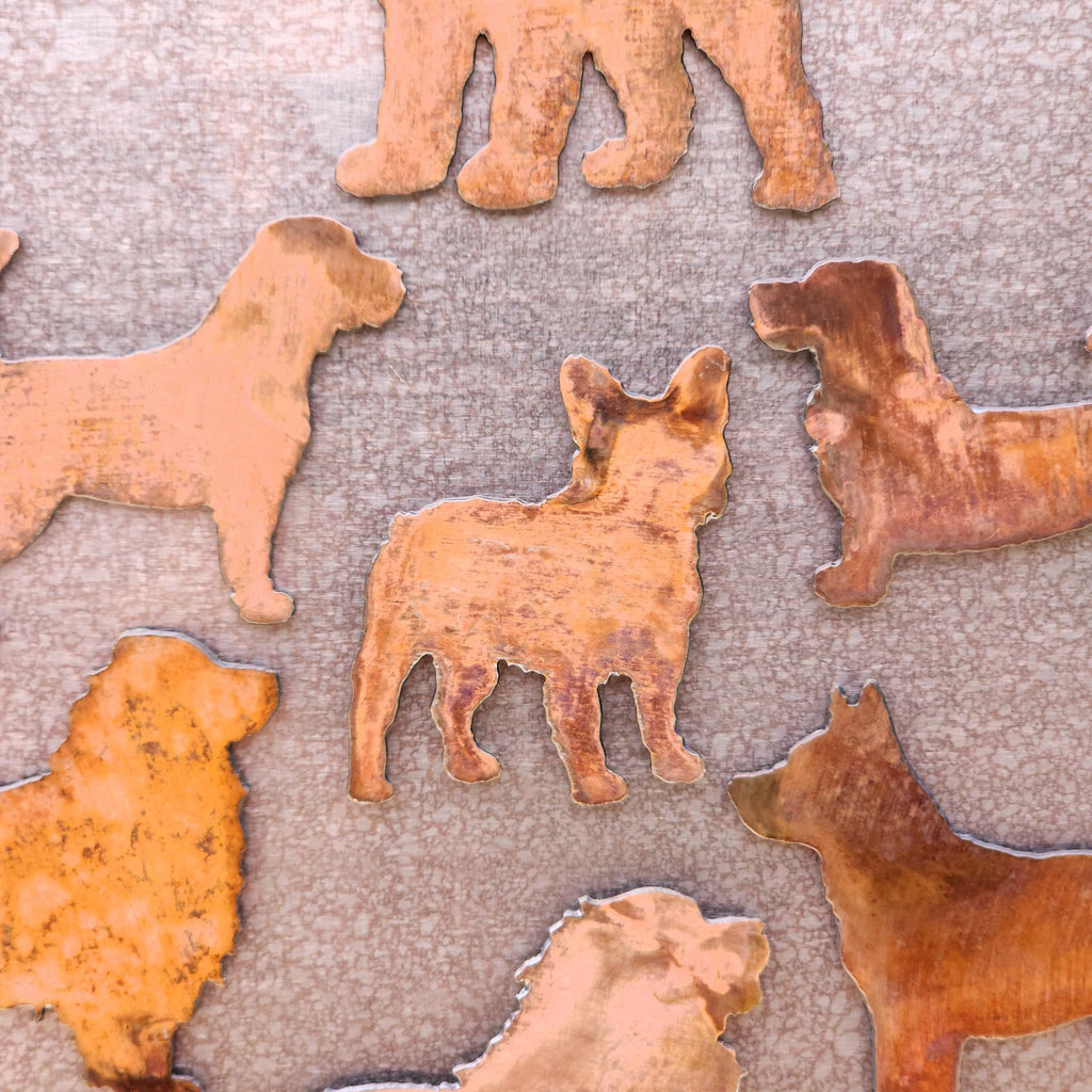 Blue Heeler Magnet