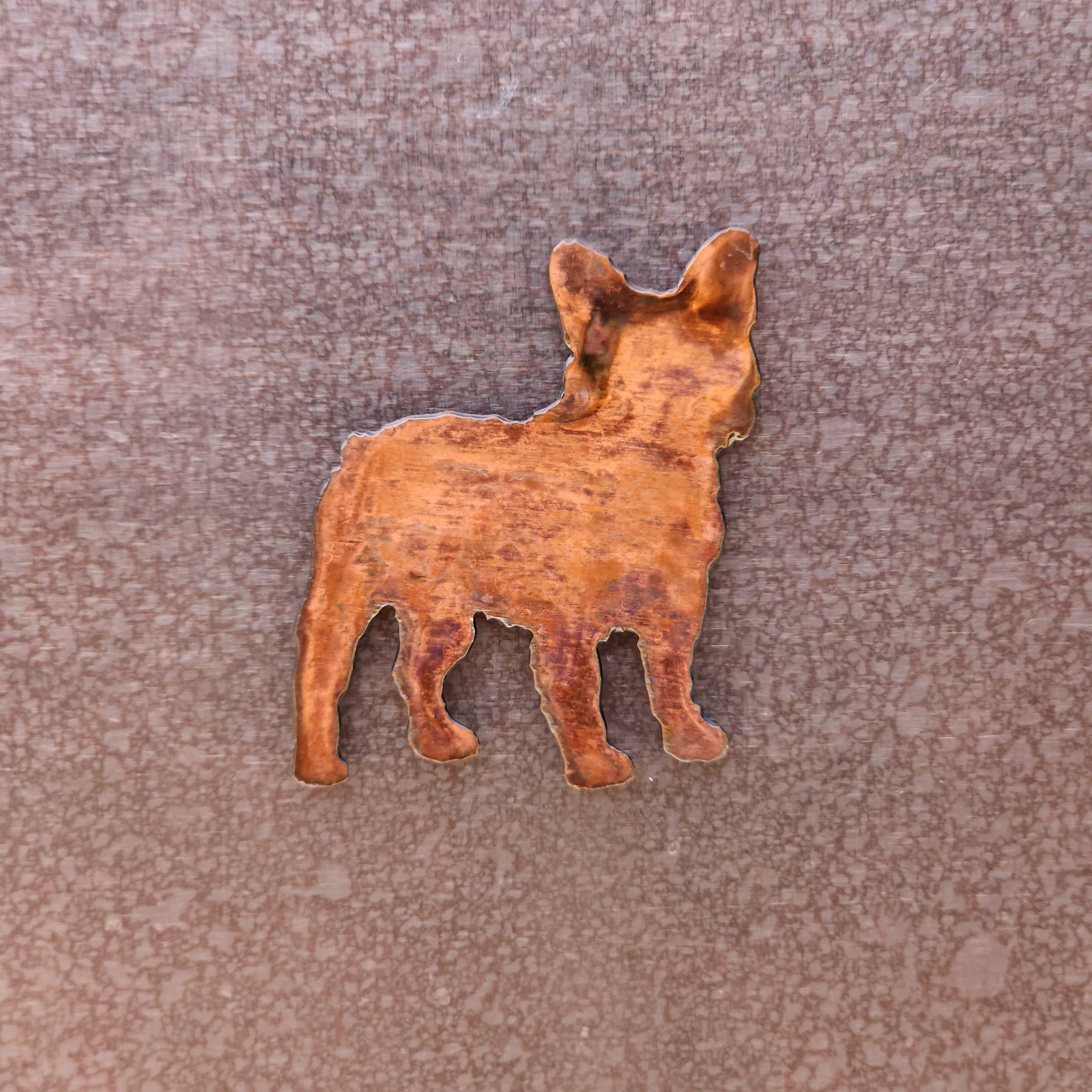 Boston Terrier Magnet