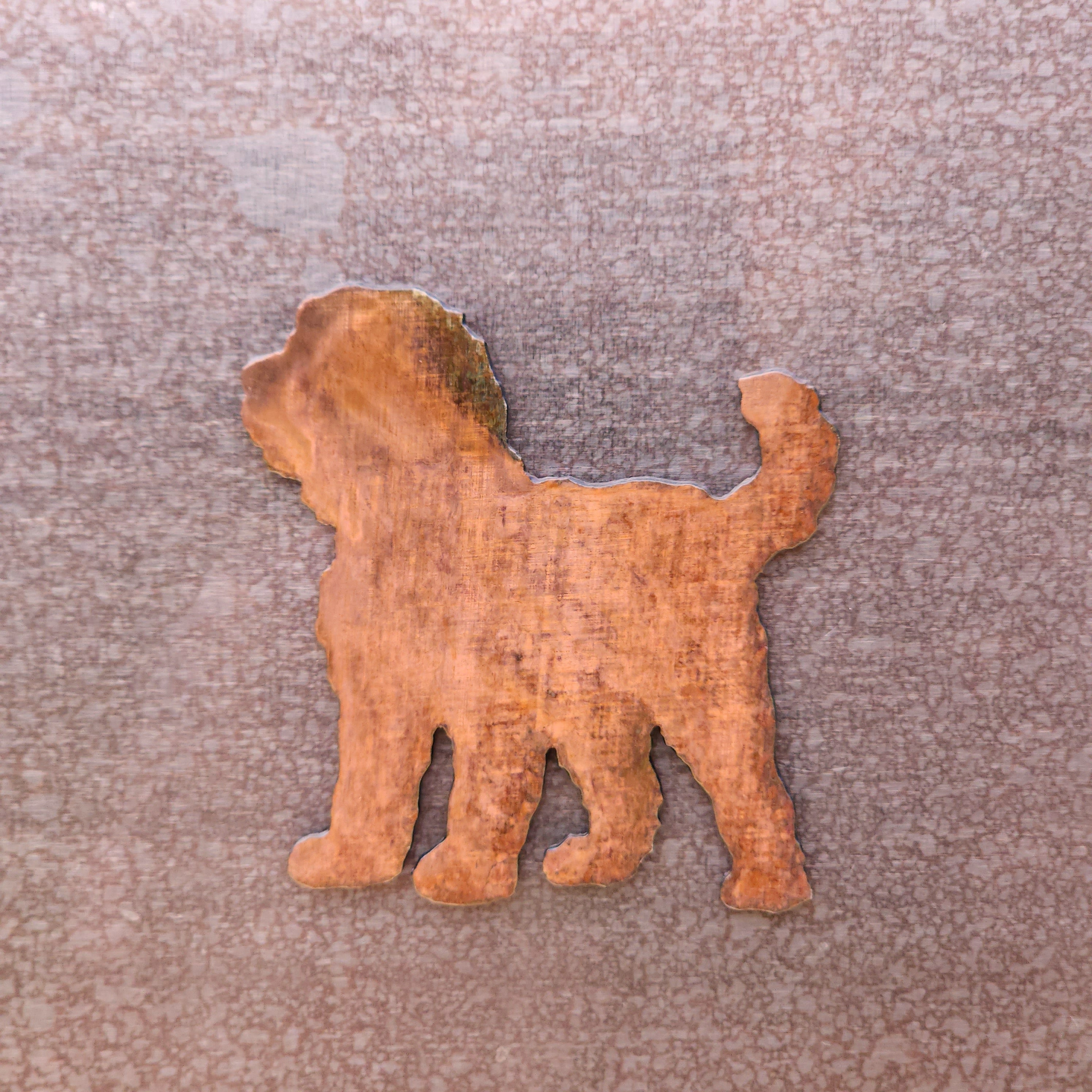 Bernedoodle Magnet