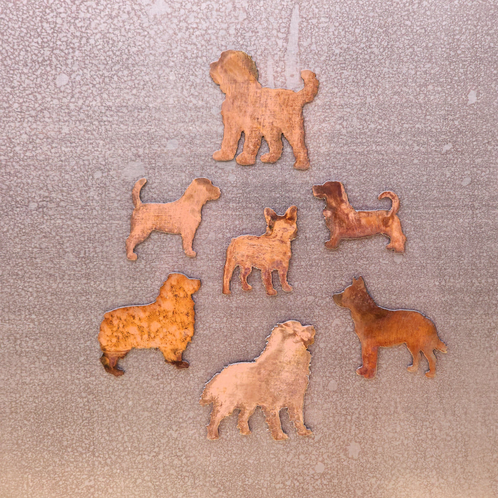 Blue Heeler Magnet