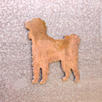 Cockapoo Magnet