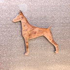 Dobermann Magnet