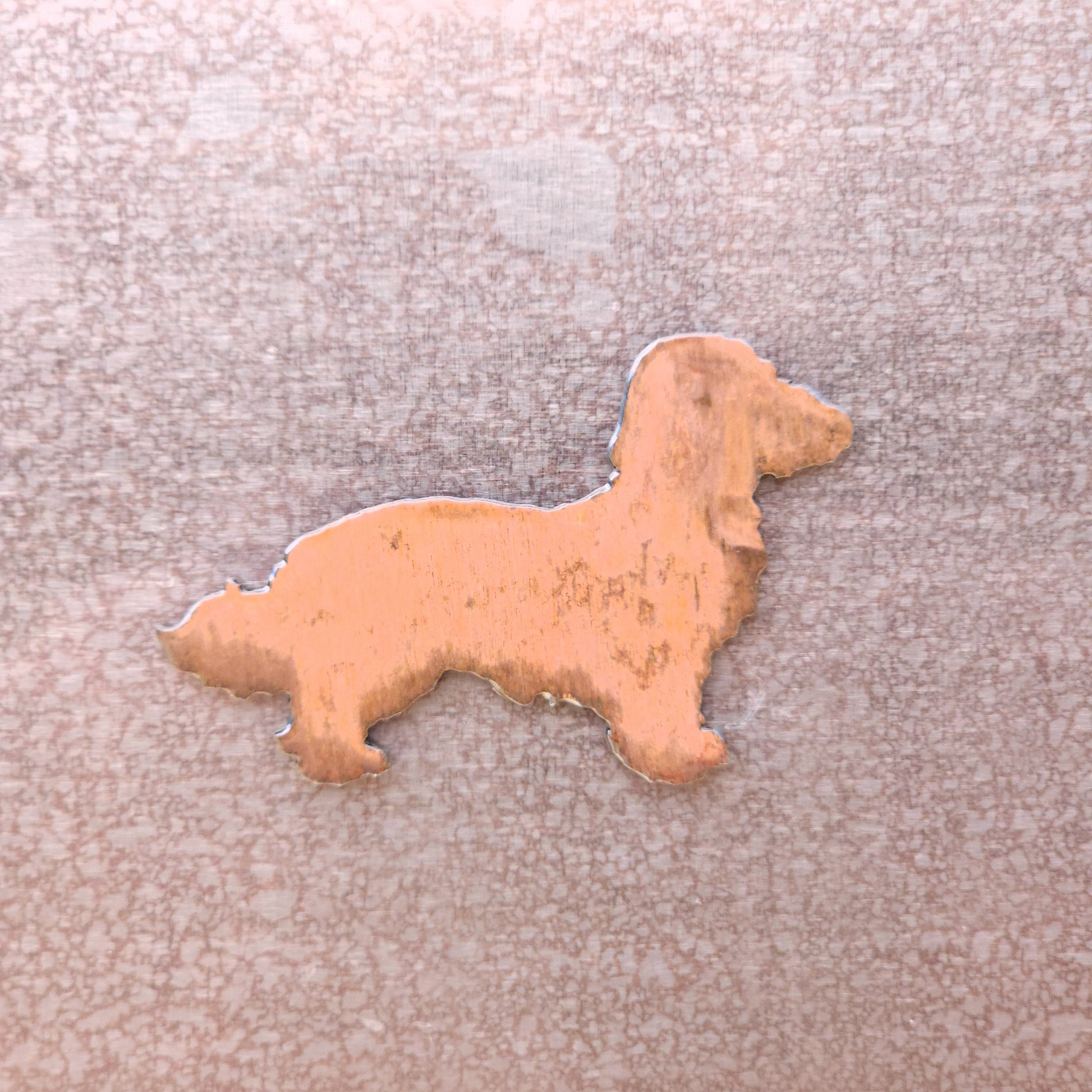 Doxiepoo Magnet