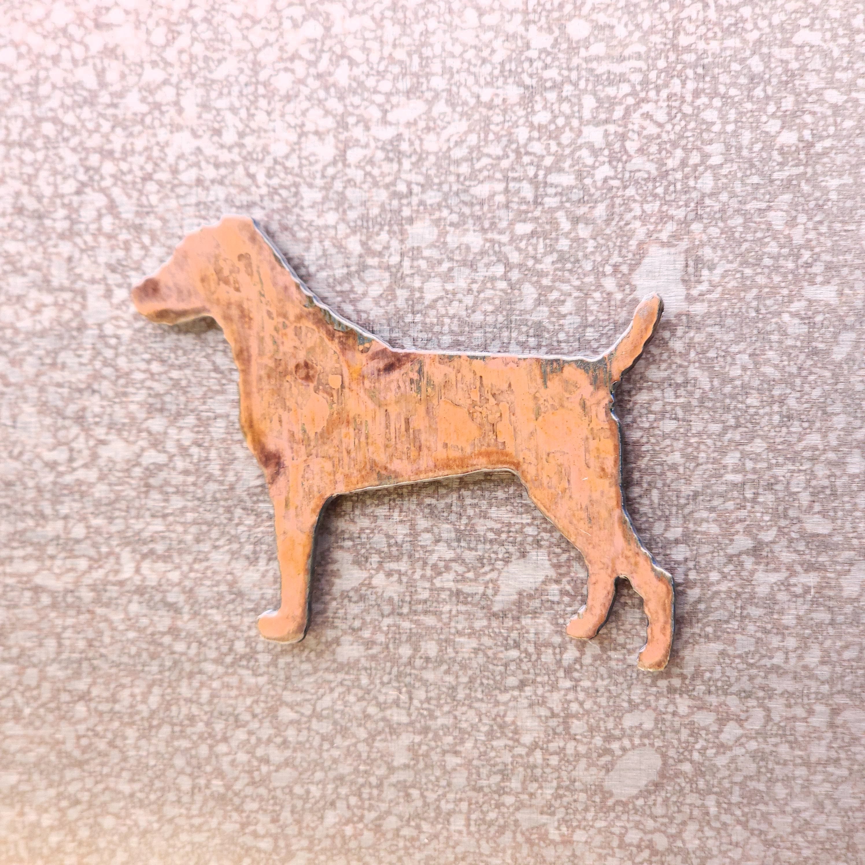 Jack Russel Magnet