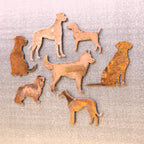 King Charles Spaniel Magnet