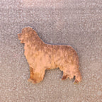 Newfoundland Magnet