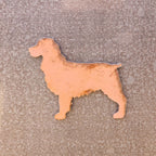 Springer Spaniel Magnet