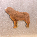 St. Bernard Magnet