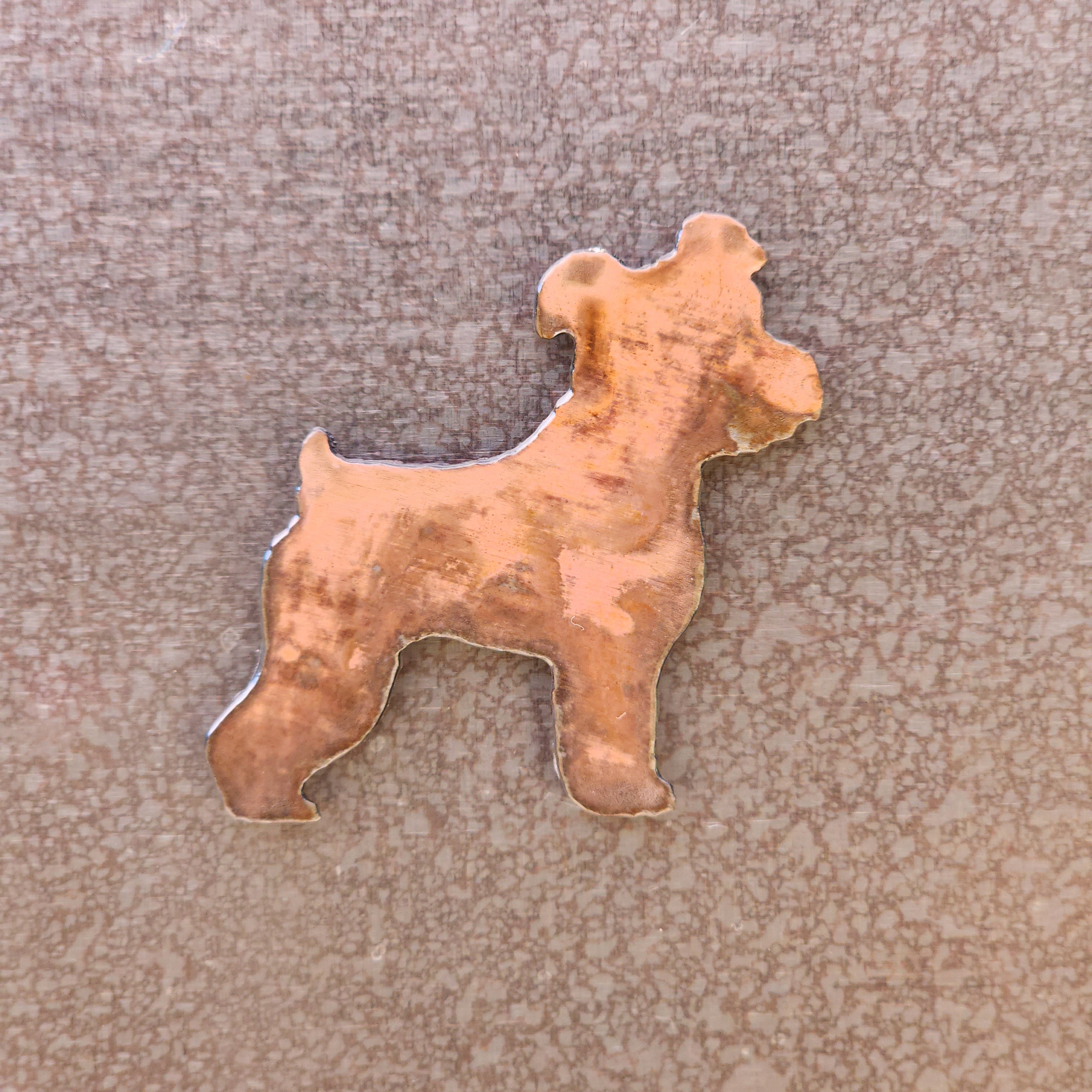 Schnauzer Magnet