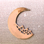 Moon Web Magnet