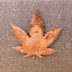 Leaf Magnet