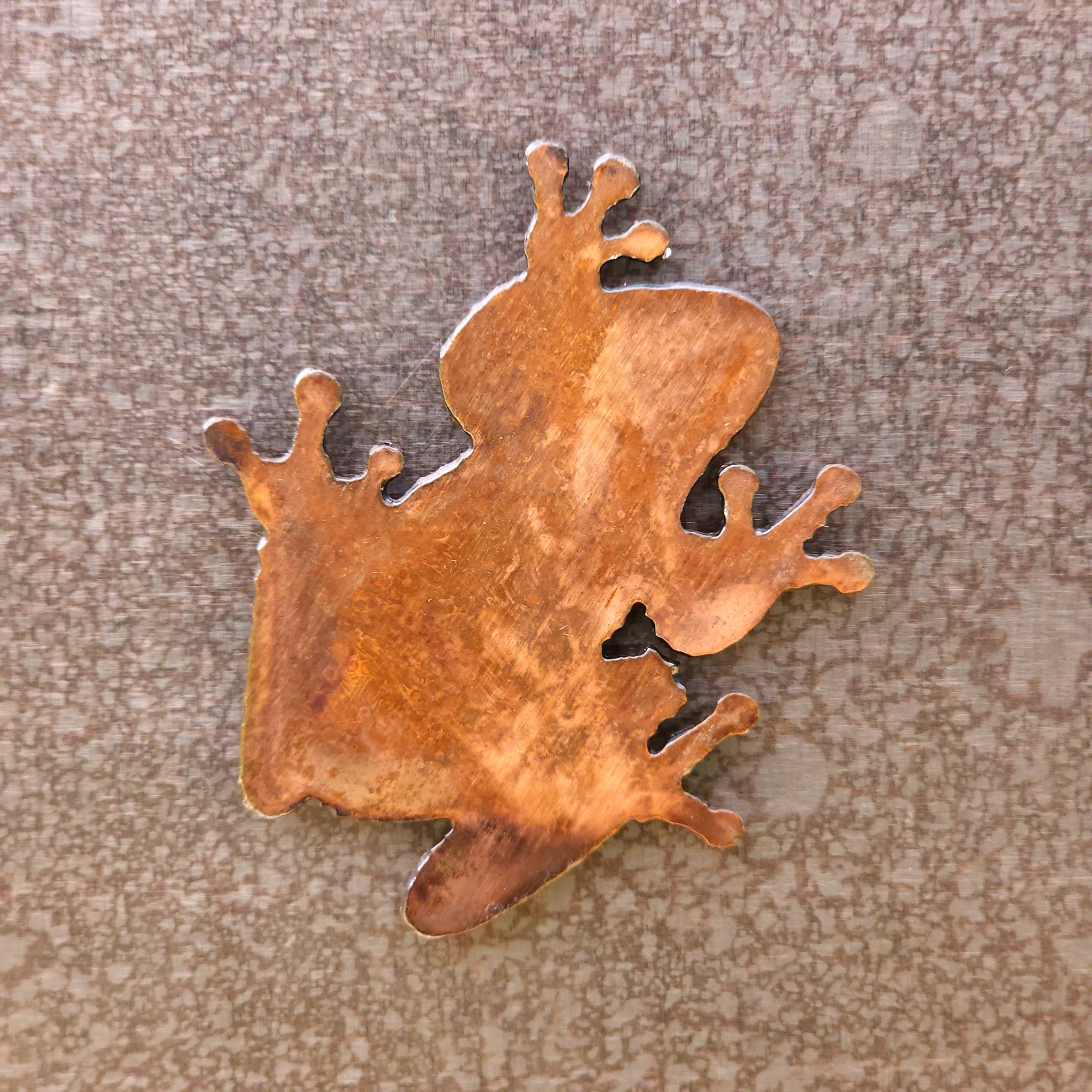 Tree Frog Magnet