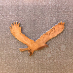 Eagle Magnet