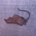 Stingray Magnet
