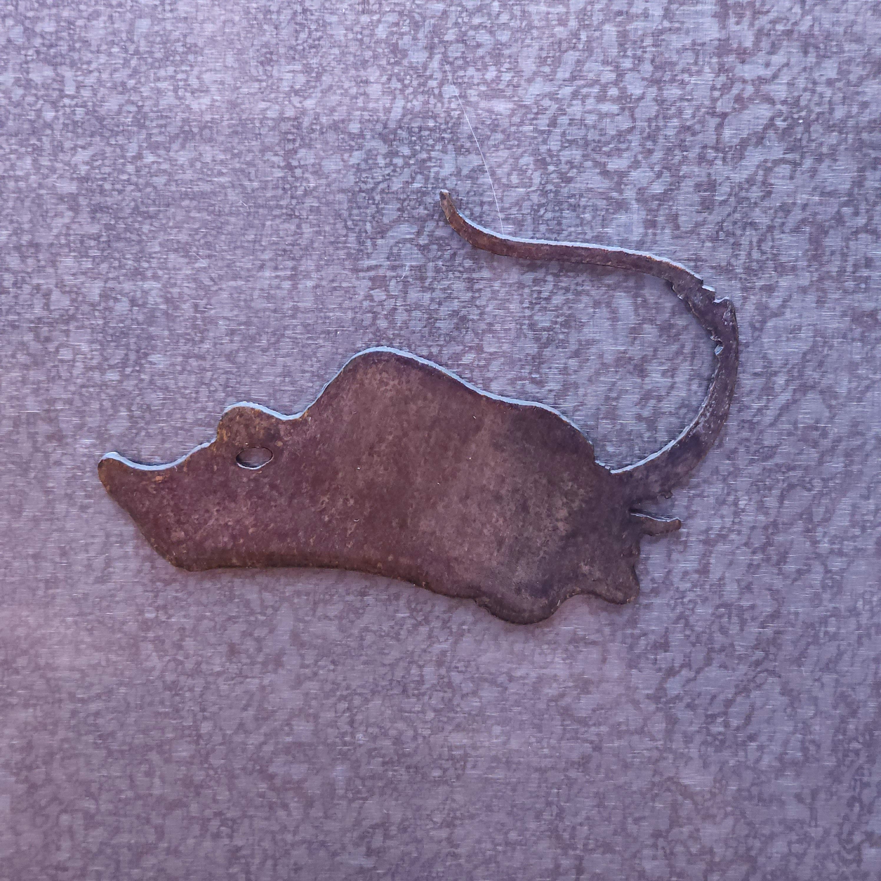 Stingray Magnet