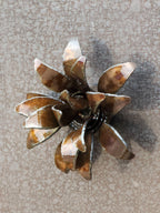 3D Spiky Flower Magnet