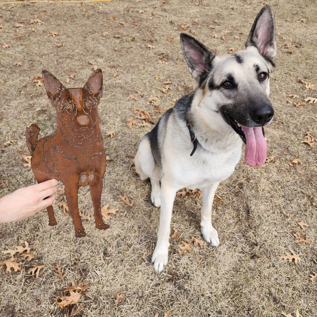 Custom Dog or Cat Sign