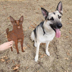 Custom Dog or Cat Sign