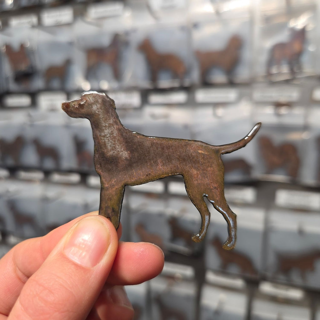 Dalmatian Dog Magnet