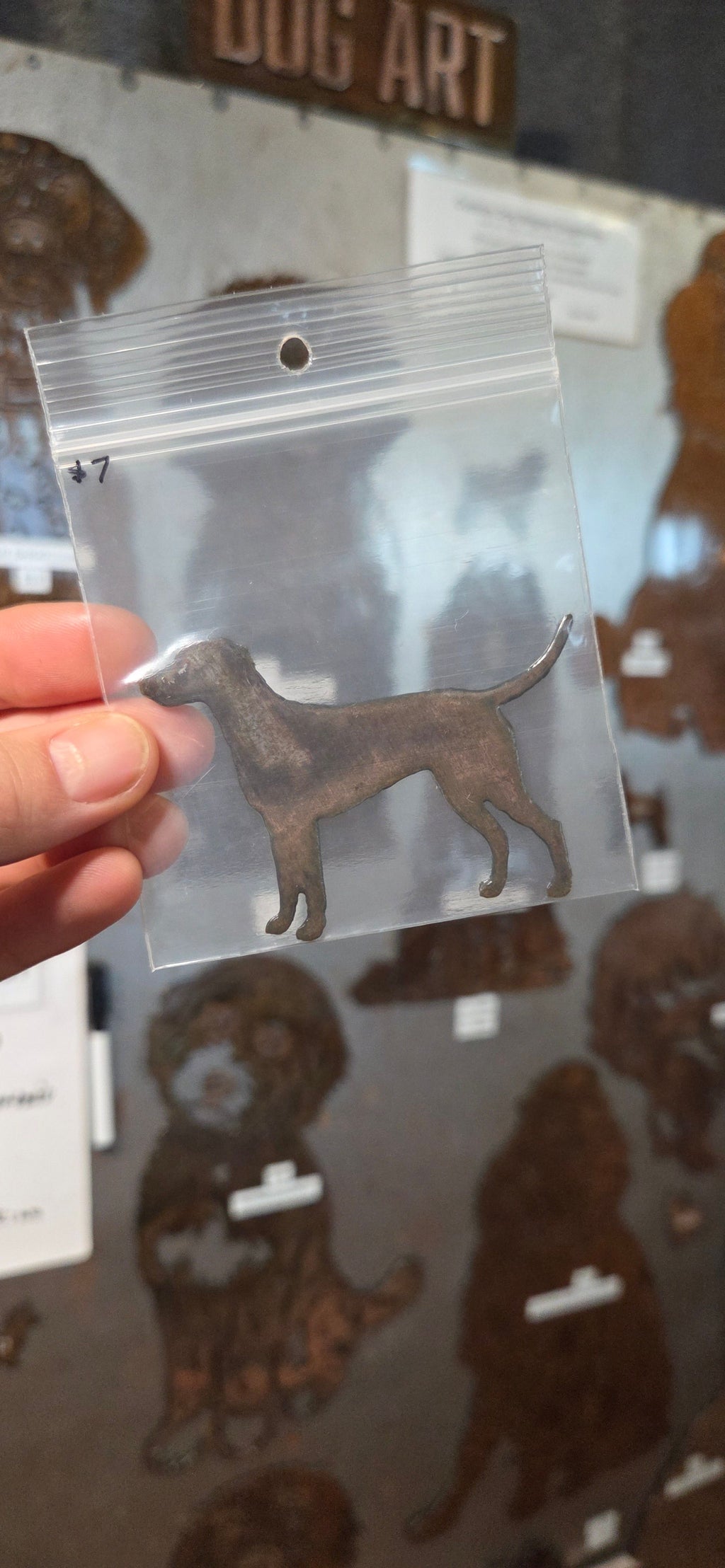 Dalmatian Dog Magnet