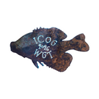 '26 ICOG Crappie Magnet